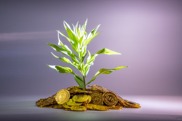 tools in AssetView that enables investors and advisors to analyze and assess a portfolio